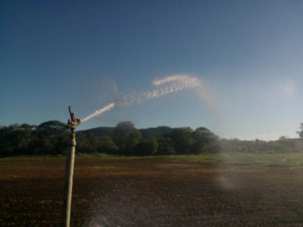 Irrigation Solutions. Introducing the AUTO IRRIG8R