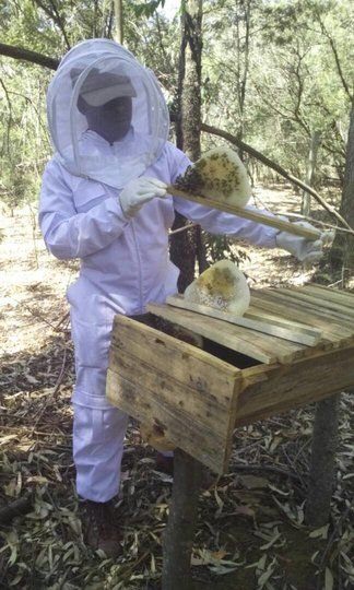 Beekeeping training facilitation