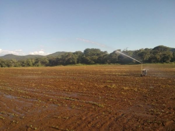 Irrigation Solutions. Introducing the AUTO IRRIG8R