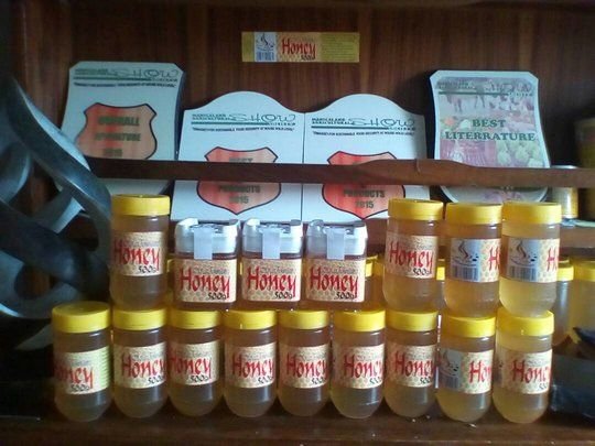 Bee removal and relocation