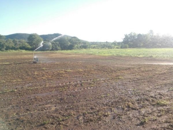 Irrigation Solutions. Introducing the AUTO IRRIG8R