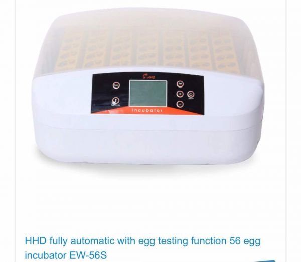 High quality egg incubators, automatic hatching