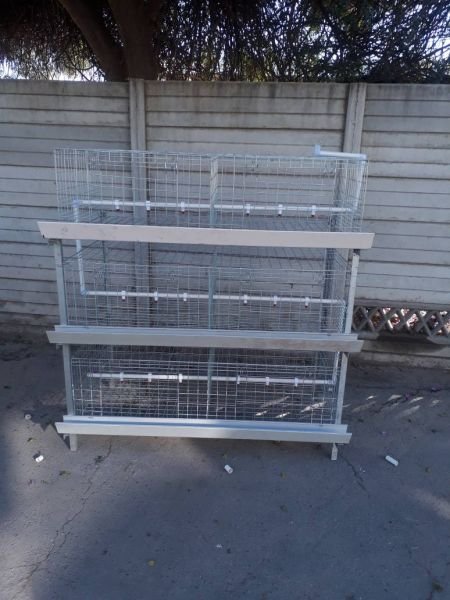 60 bird broiler chicken cages for sale