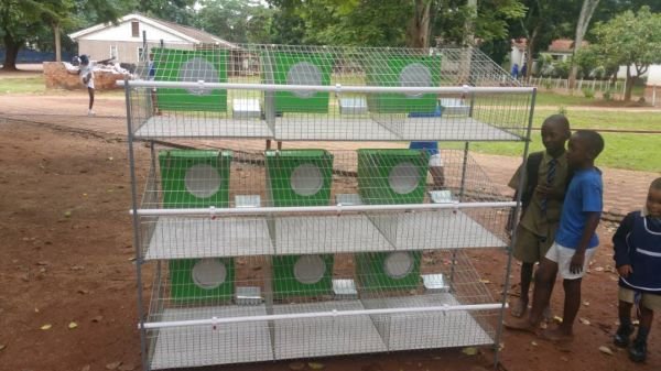 Rabbit breeders cages for sale