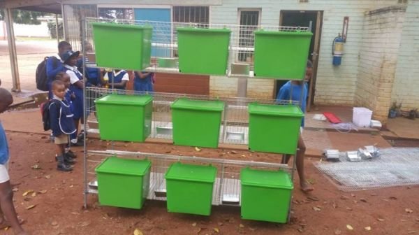 Rabbit breeders cages for sale