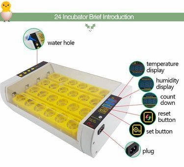High quality egg incubators for sale