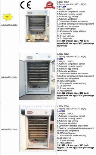 High quality egg incubators for sale