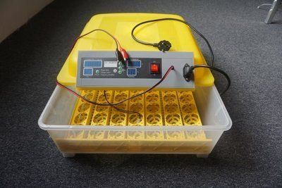 High quality egg incubators for sale