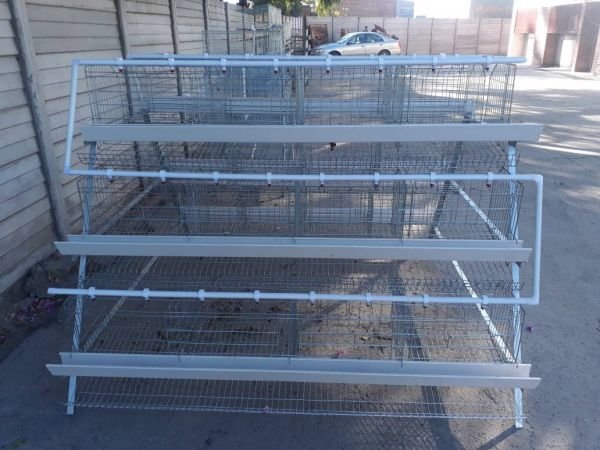 Chicken & Rabbit cages - Bulawayo