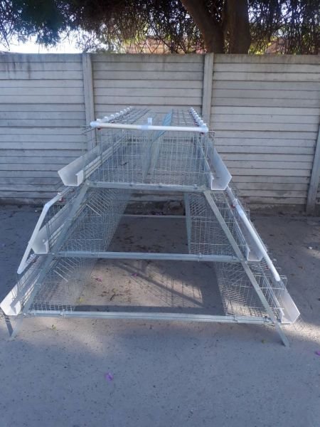 Chicken & Rabbit cages - Bulawayo
