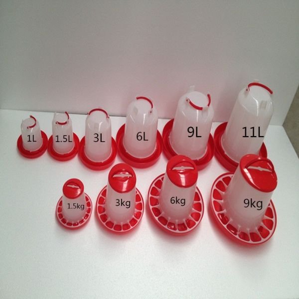 Drinkers and feeders all sizes - Bulawayo