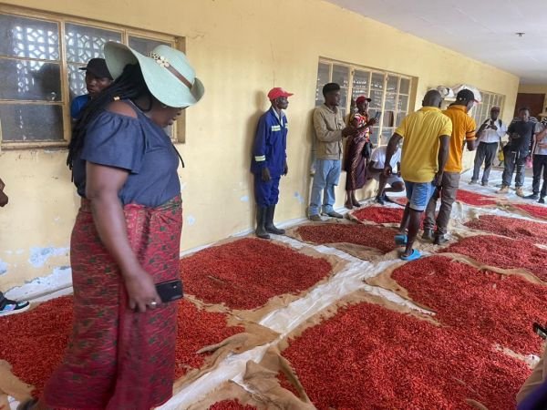 Dendere Agro Pvt Ltd