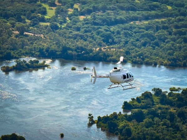 Echoes of Safari Experience