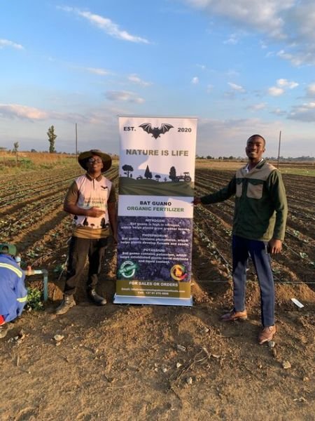 Bat Guano 100% organic fertilizer