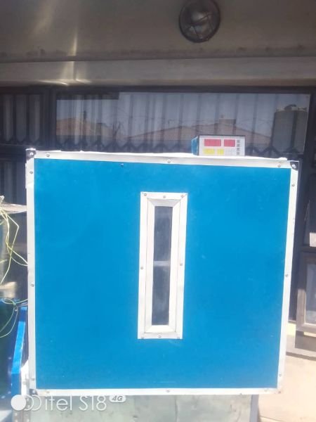 Egg incubators for sale