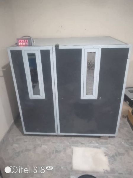Egg incubators for sale