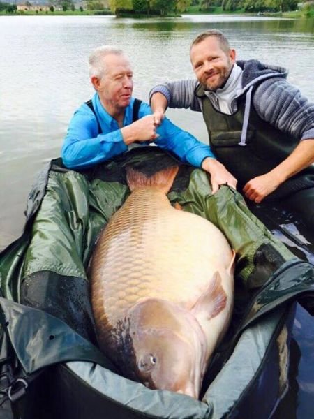 Fresh fish and dried fish for sale